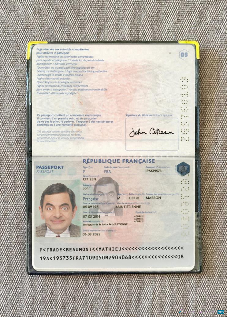 Download France passport 2019 present photolook Photoshop template